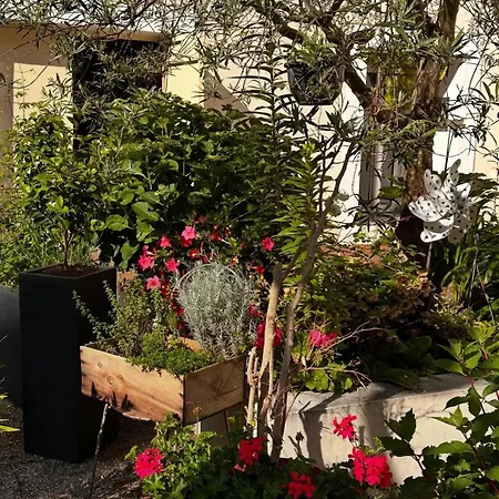 La Casa D'iza *